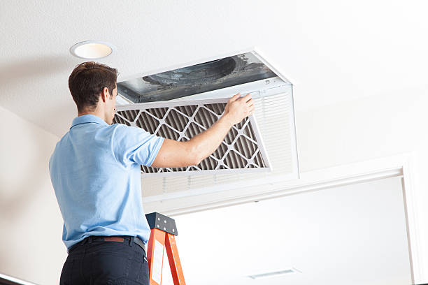Best Air quality test  in Apple Valley, UT